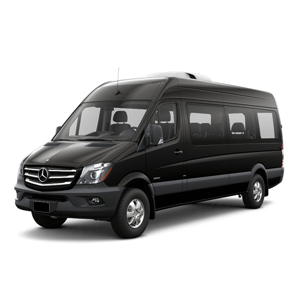 VIP Sprinter